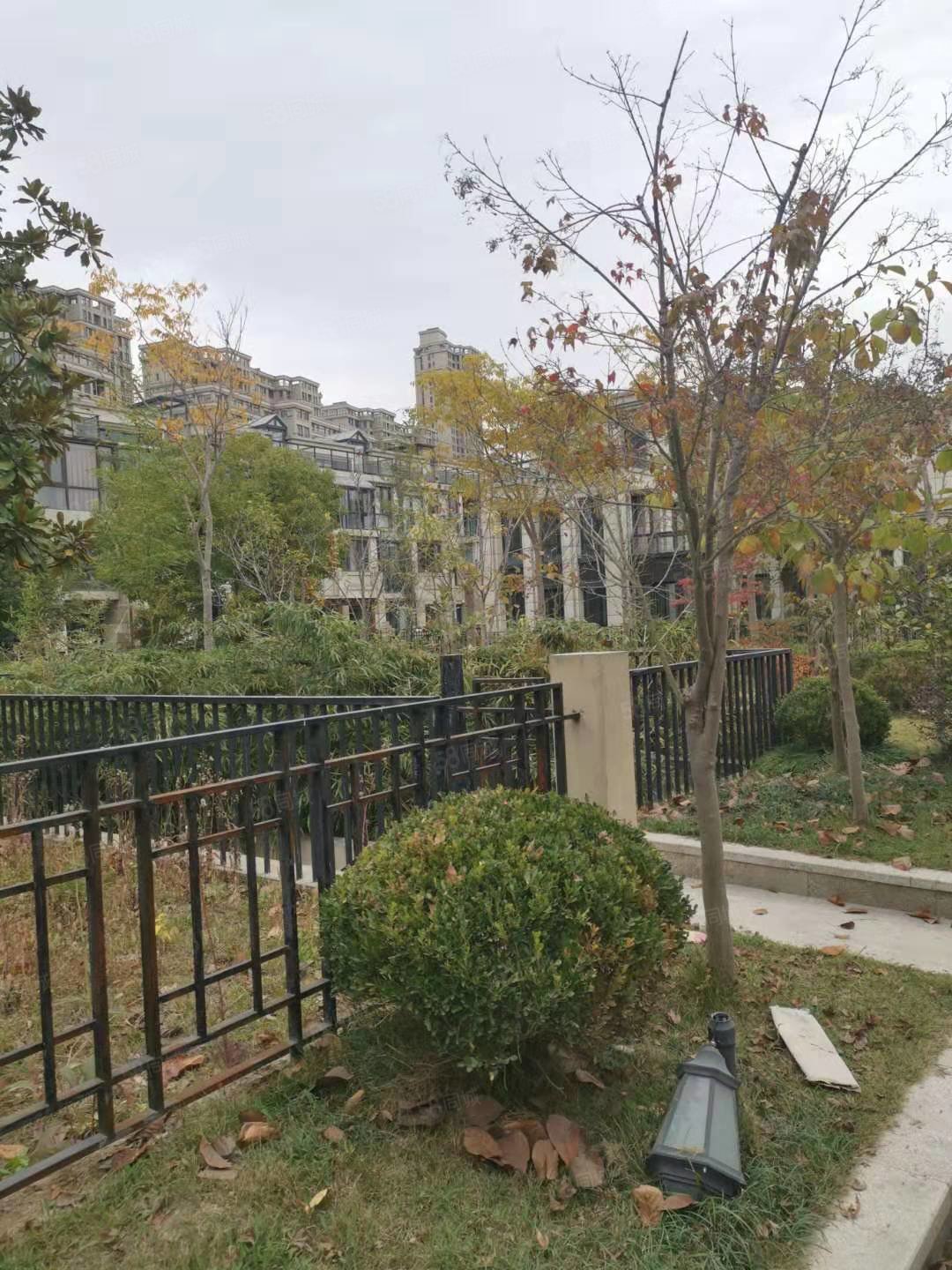 【10图】太仓市区 南洋壹号联排 南洋广场旁 小区绿化高 视野采光好