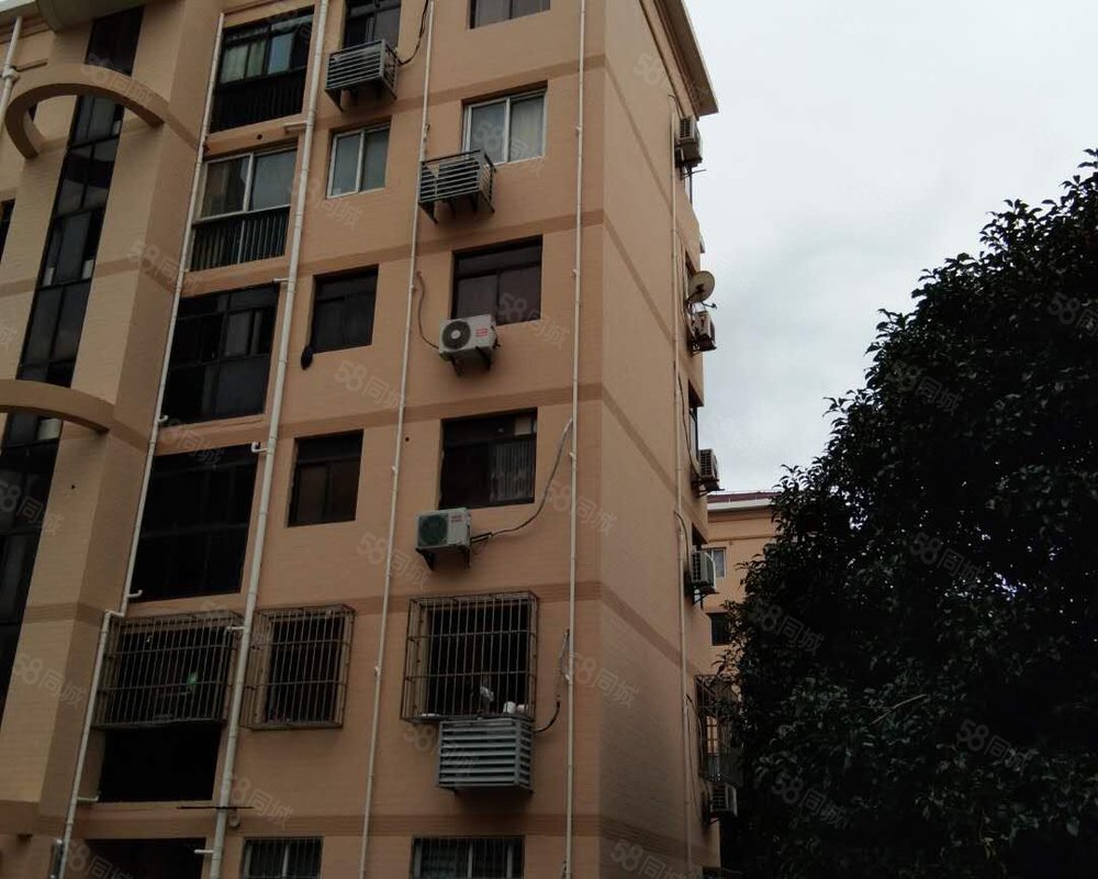 【富丽公寓西区, 富丽公寓西区小区详情,房价走势,房源,业主论坛】