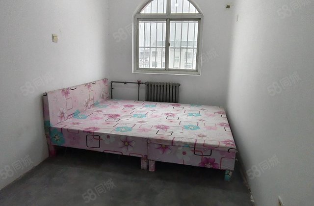 回民小区文轩本部东关民族一中三室南北通透