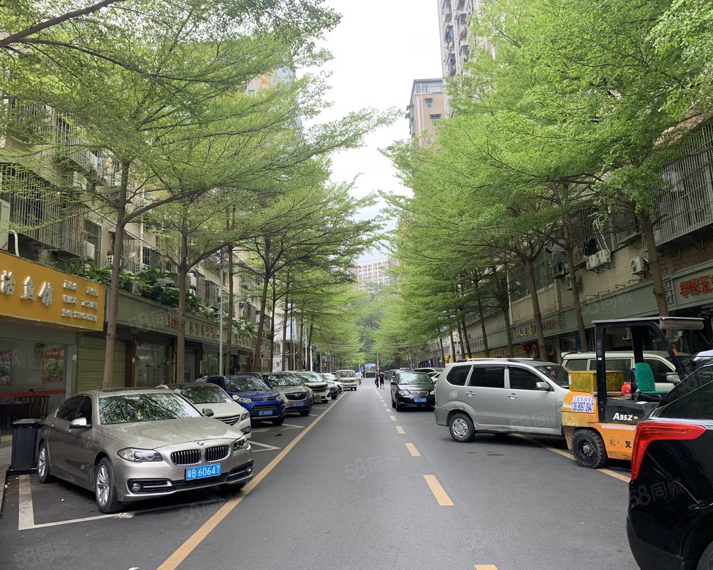 【逸秀新村, 逸秀新村小区详情,房价走势,房源,业主论坛】- 深圳58