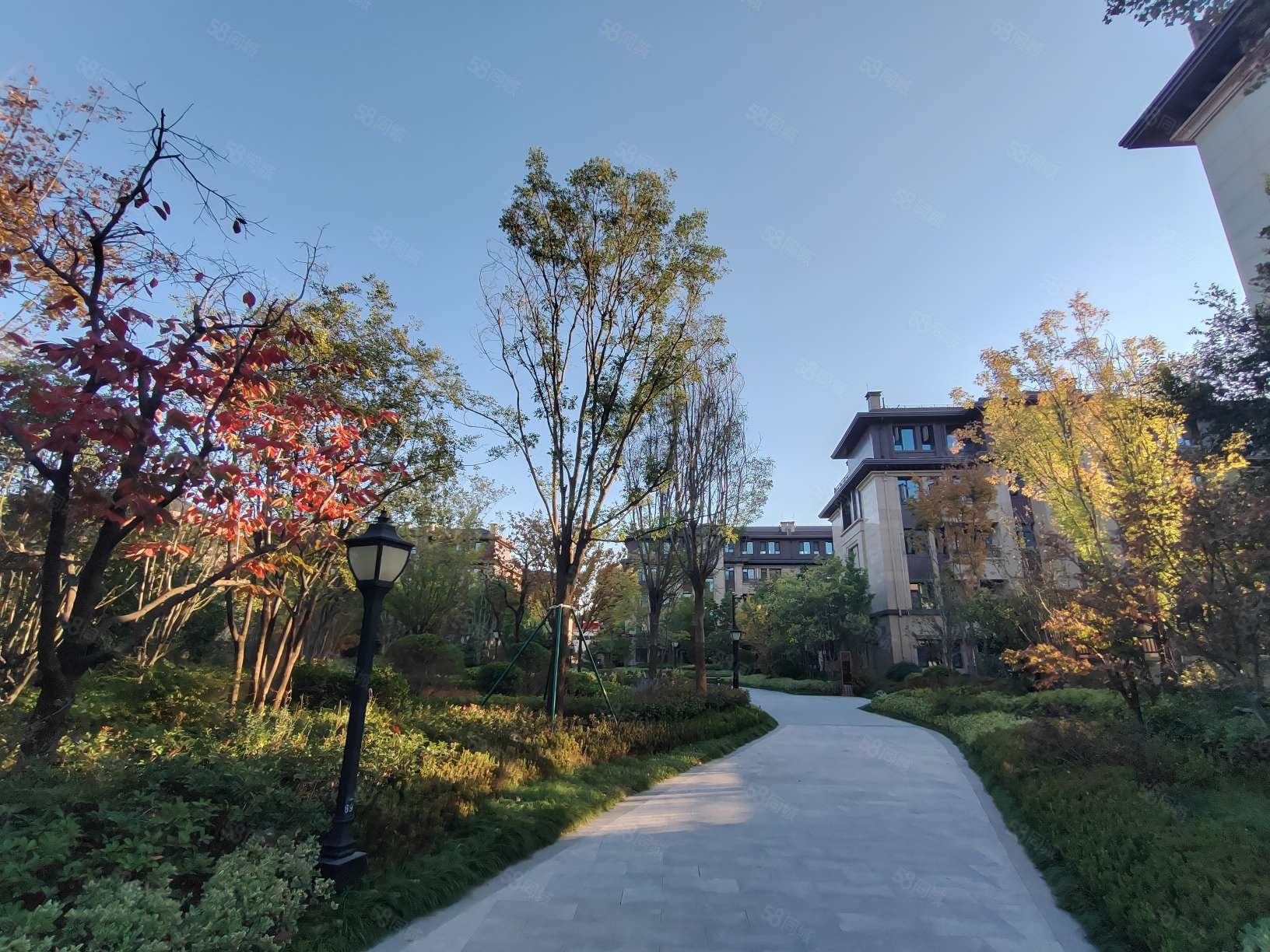 【10图】浞河九号 一楼带院 院南开门送负一层 带电梯,浞河九号-潍坊