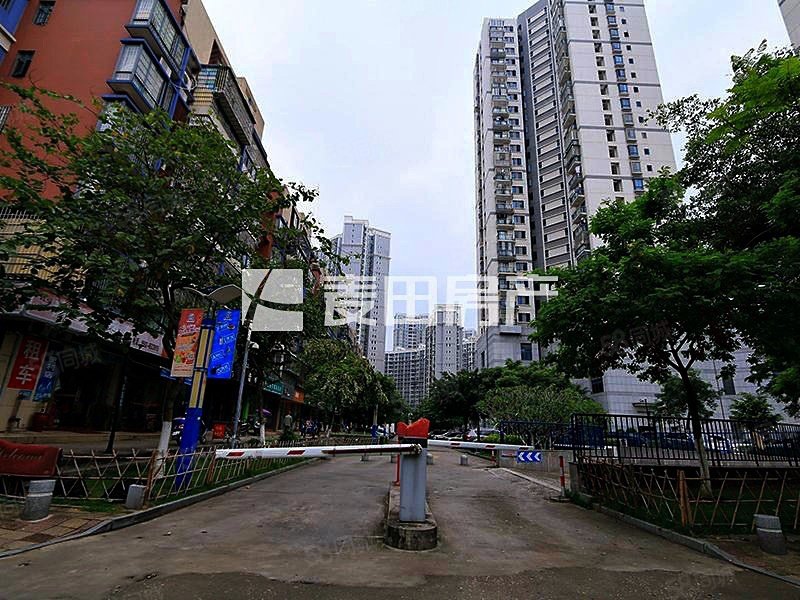 绿苑商城购物方便装修好商品住宅南北通透停车方便