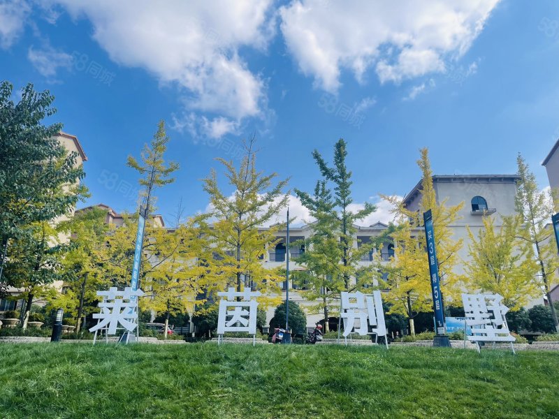 北部新洲莱茵别墅5室2厅3卫260㎡东西198万