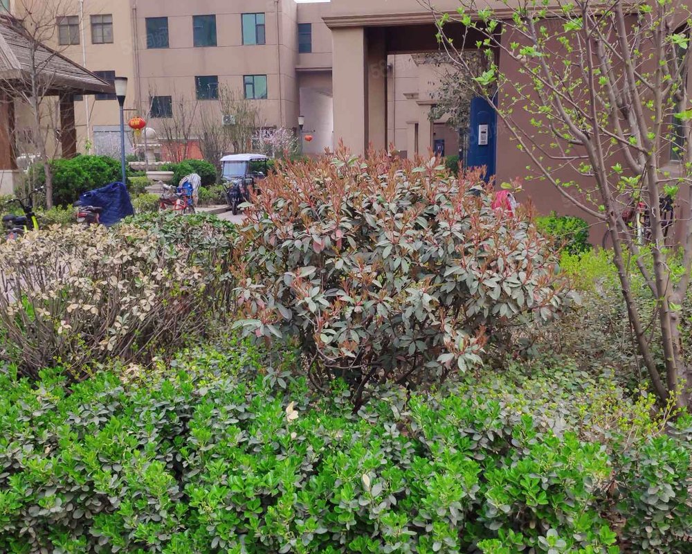 天兆花园(成安)小区详情,房价走势,房源,业主论坛】- 邯郸58同城