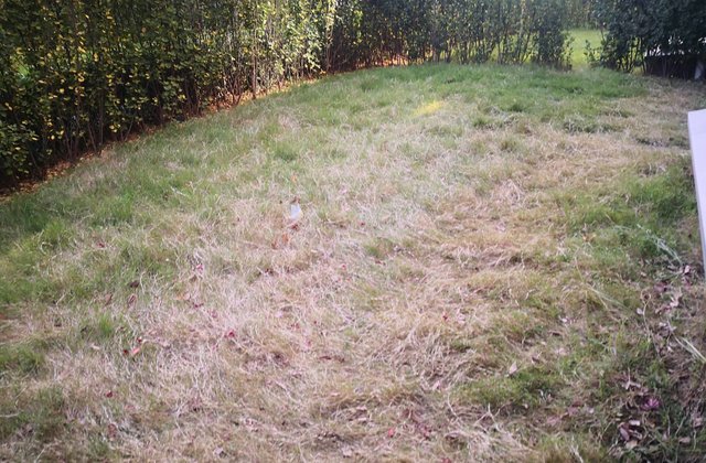 中建观湖珑府4室3厅202.62㎡178万二手房图片