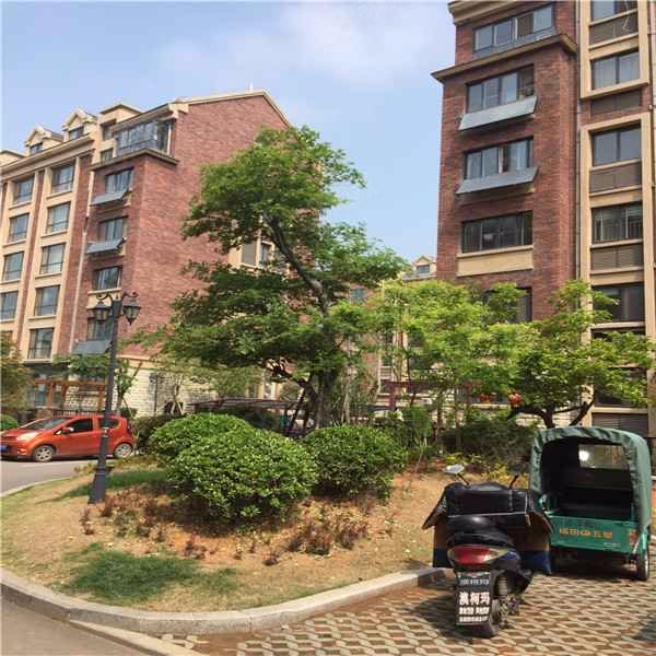 丹郡, 榕晟康桥丹郡小区详情,房价走势,房源,业主论坛】- 东平58同城