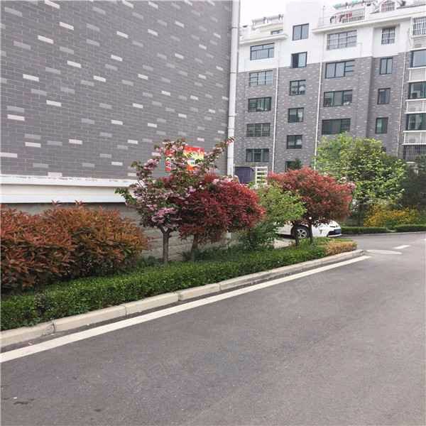 白马石花园b区小区详情,房价走势,房源,业主论坛】- 泰安58同城