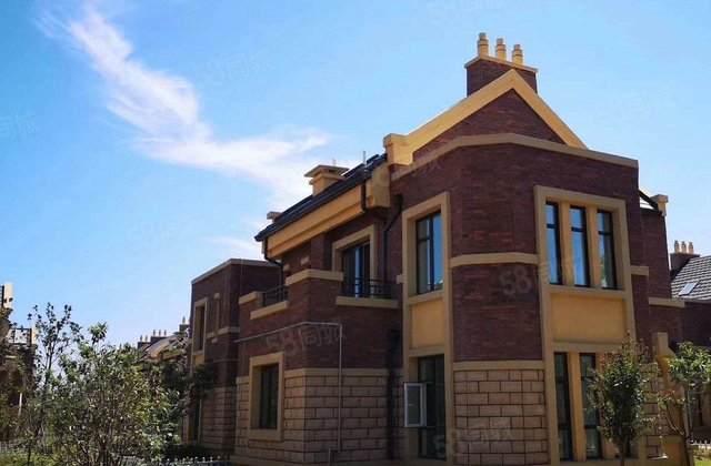 贾汪双拼别墅170多万赠送280平超大院子 一线湖景别墅,206国道-徐州58