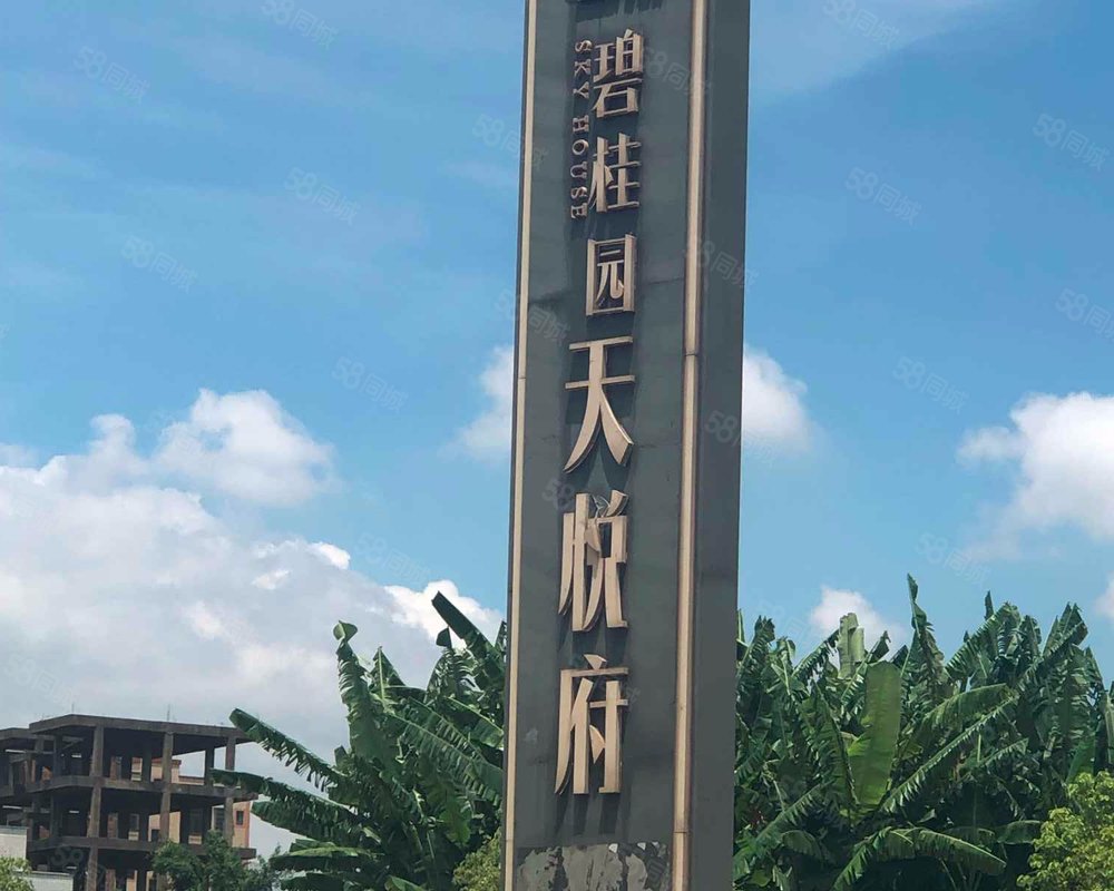 碧桂园天悦府