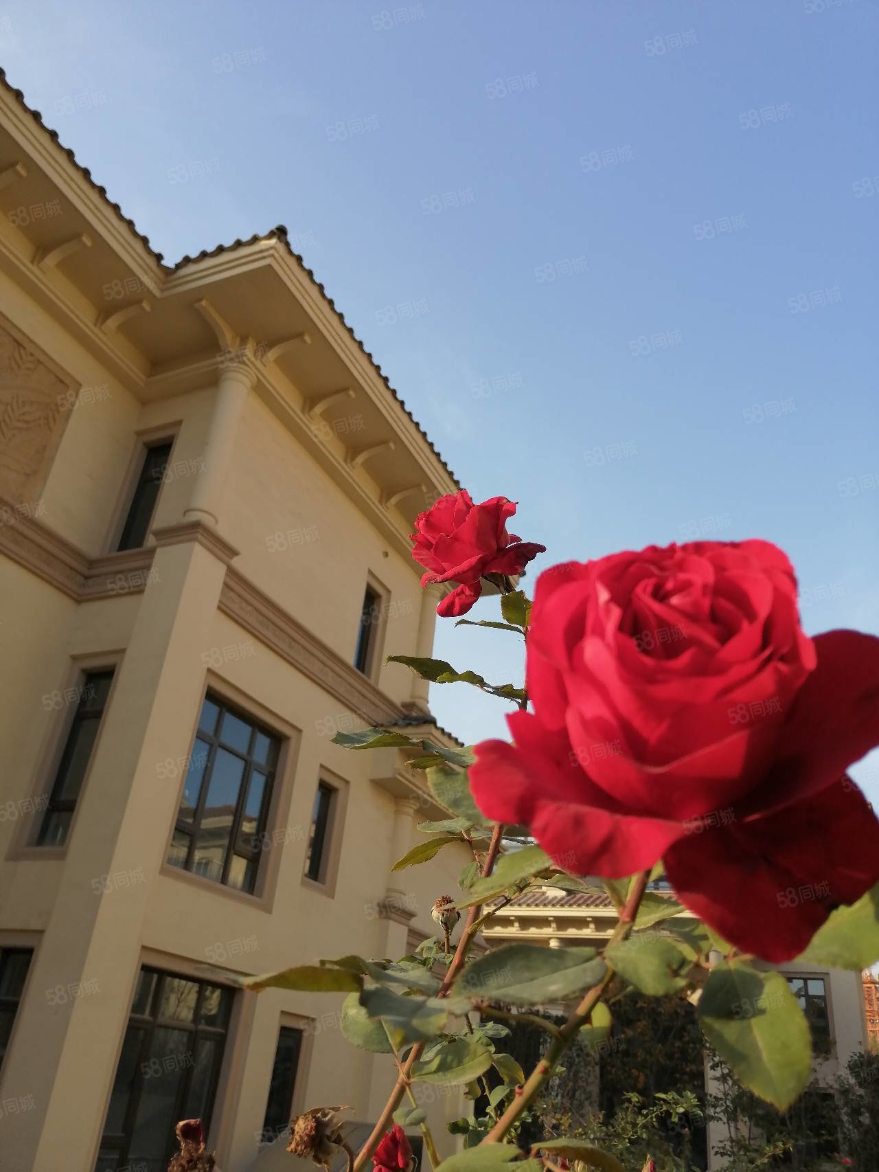 恒大山水城双拼别墅221平可装电梯户型370万