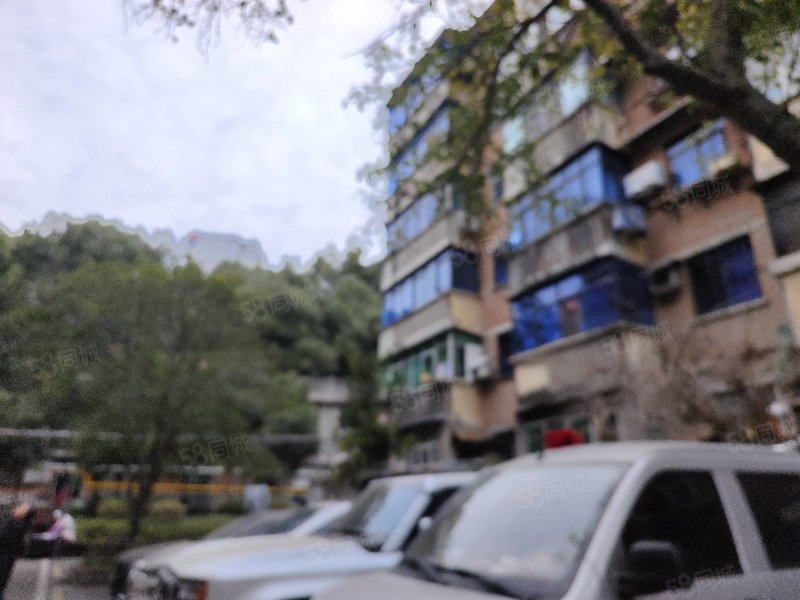 八一里文体局家属楼4室2厅2卫115㎡南北42万