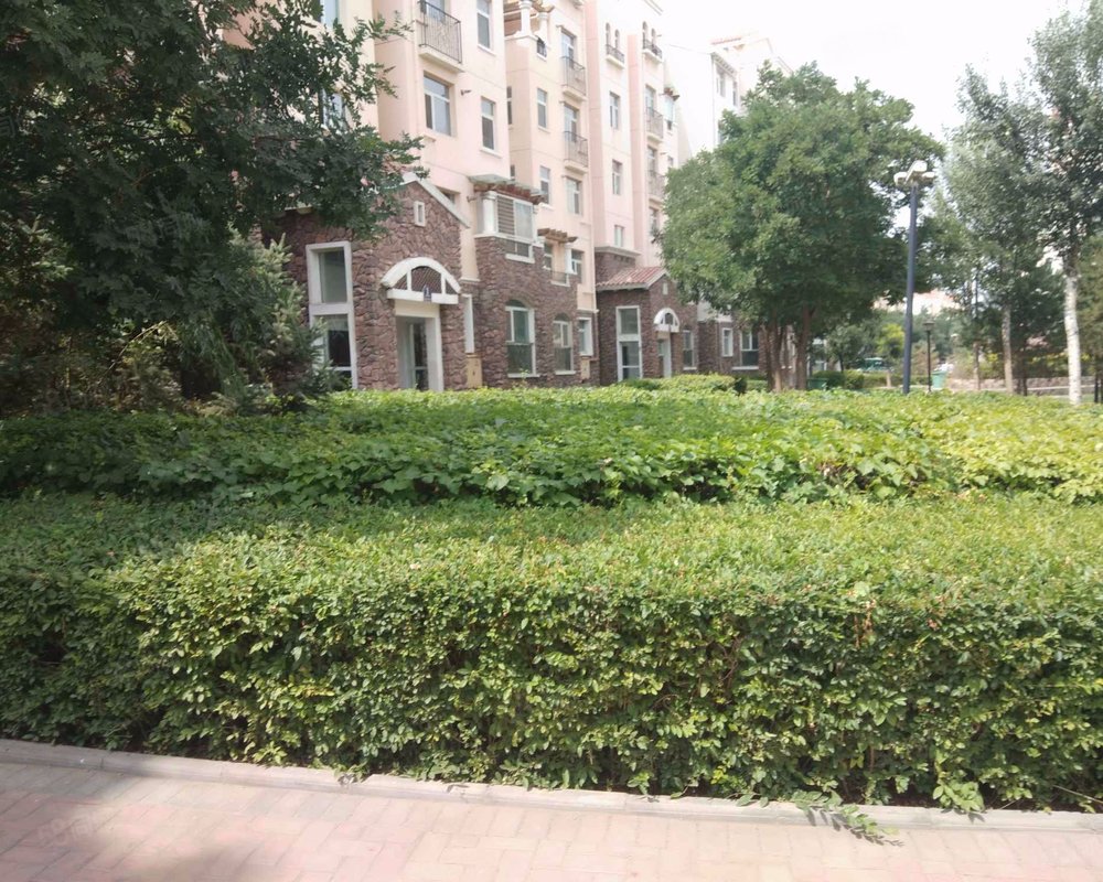 【奥林匹克花园, 奥林匹克花园小区详情,房价走势,房源,业主论坛】