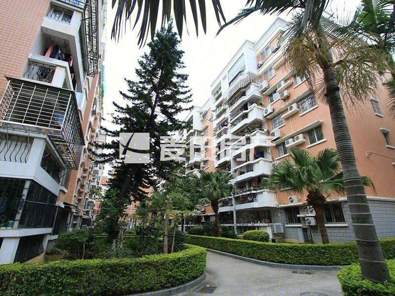 【10图】加装电梯,低公摊,视野开阔,朝南双阳台,国贸新城-厦门58同城