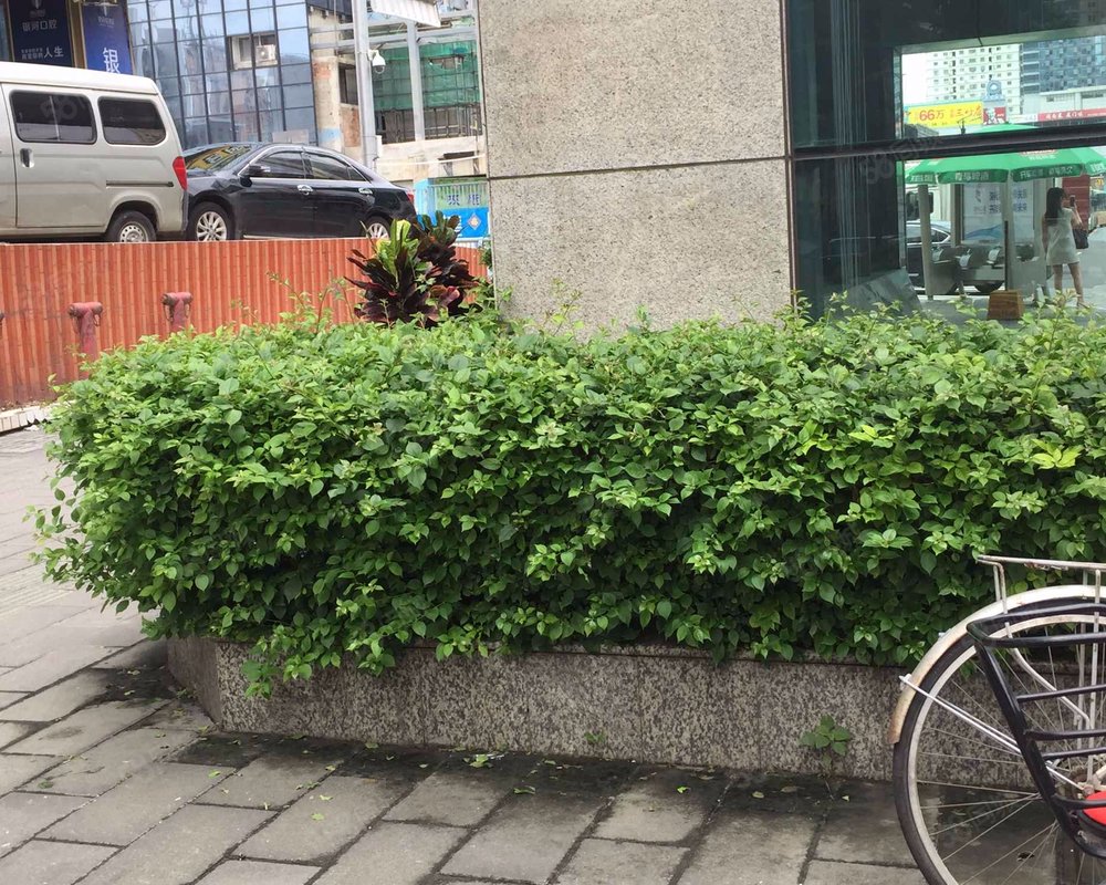 【银河大厦, 银河大厦小区详情,房价走势,房源,业主论坛】- 厦门58