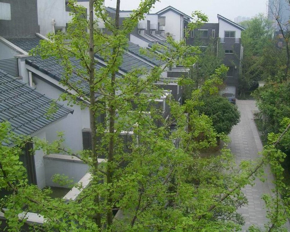 三利宅院2期小区详情,房价走势,房源,业主论坛】- 成都58同城