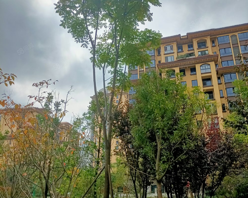 【凯莱国际(二期), 凯莱国际(二期)小区详情,房价走势,房源,业主论坛