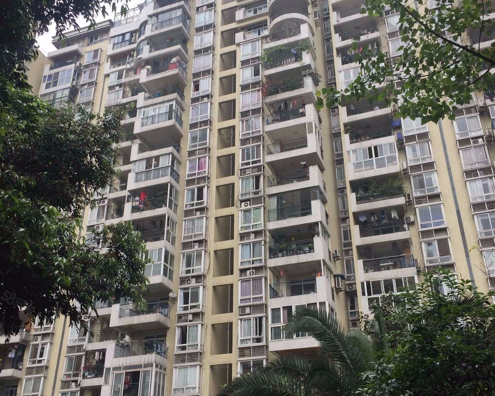 美堤雅城b区内环以内