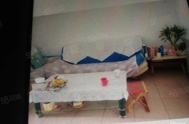 聊城三中家属院3室1厅1卫
