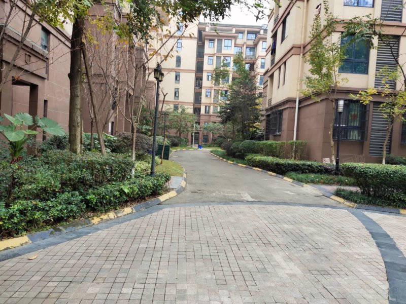 新津花源 套二 捡漏价 环境优美 交通便利 近地铁