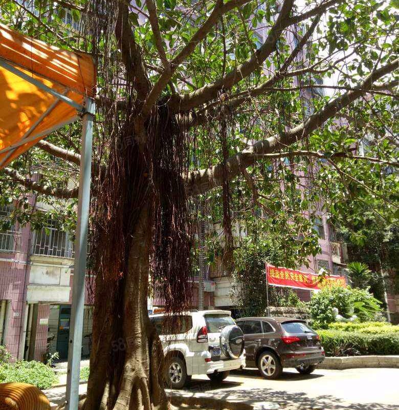 【宝海花园, 宝海花园小区详情,房价走势,房源,业主论坛】- 深圳58