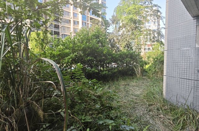 遂宁国际健康城2室2厅78㎡29.8万二手房图片