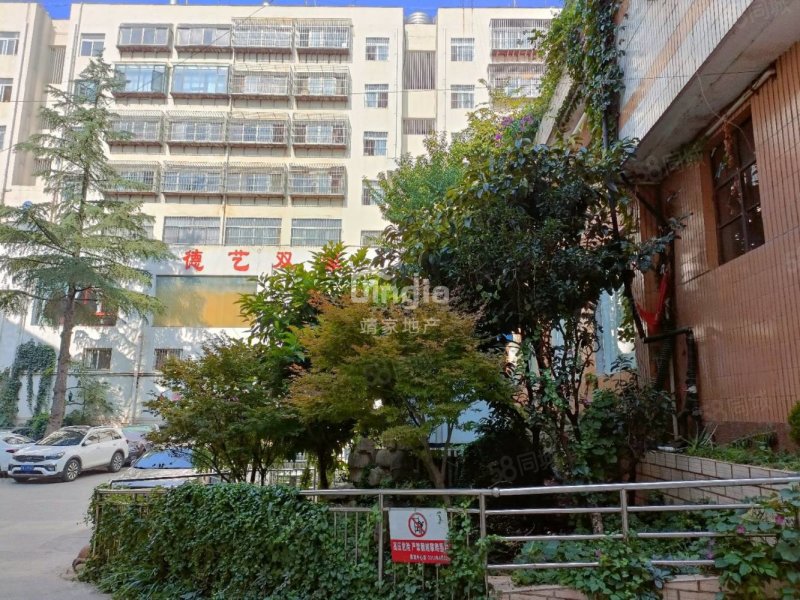 花灯团住宿区4室1厅2卫125㎡南55万