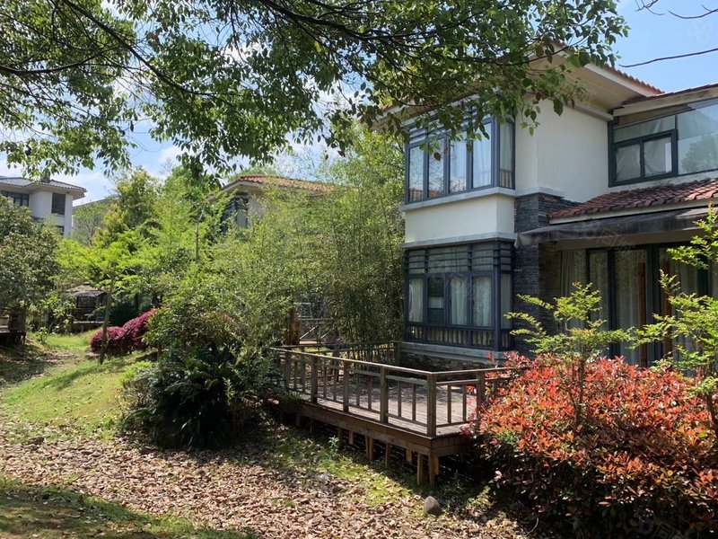 九龙湾小面积别墅精装出售,只卖毛胚的价格