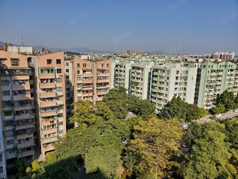 豪华装修 棠德花苑 满五 住房 3室2厅 看房方便 有钥匙