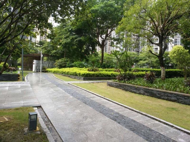 万顷沙花园广州环城高速以外