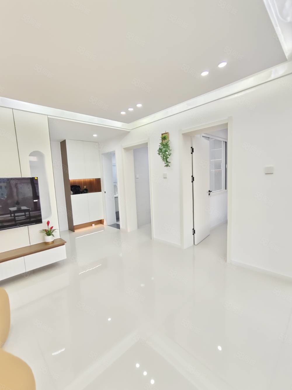 县土产综合楼1室1厅1卫52㎡东西15.9万