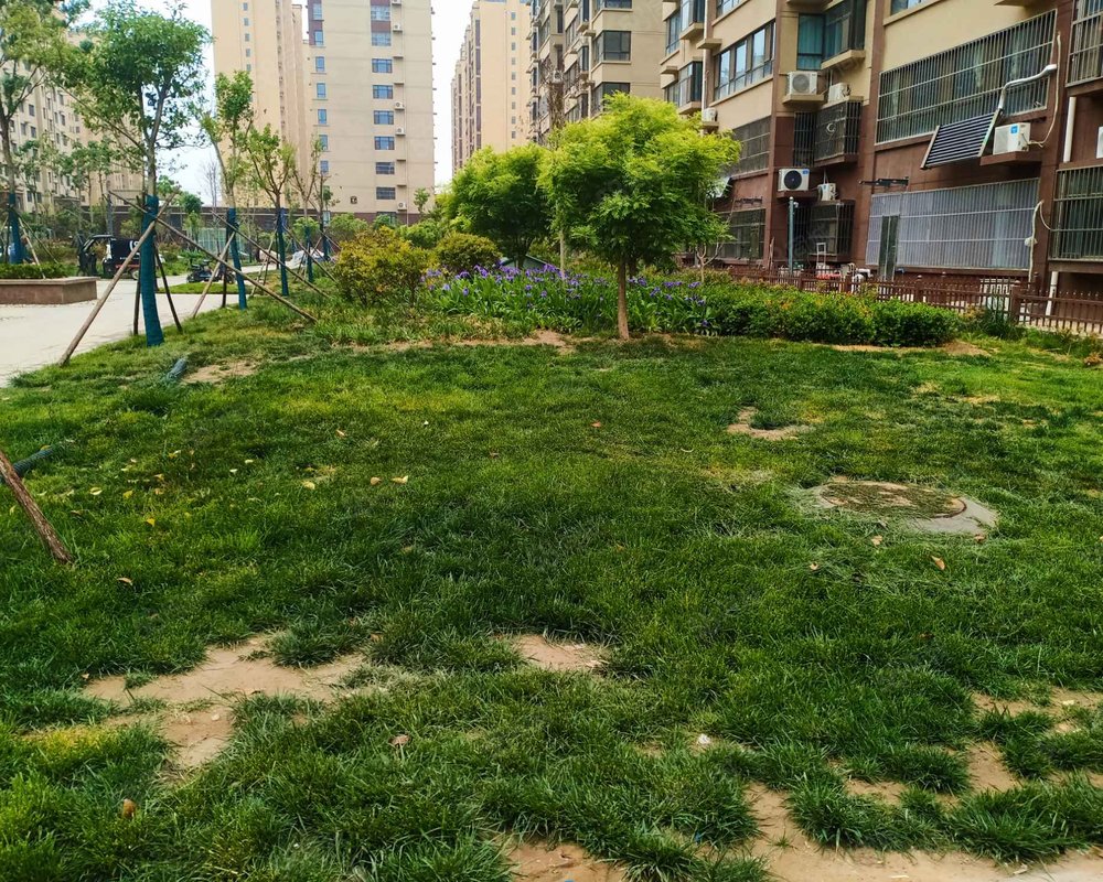 【府前花园, 府前花园小区详情,房价走势,房源,业主论坛】- 莘县58