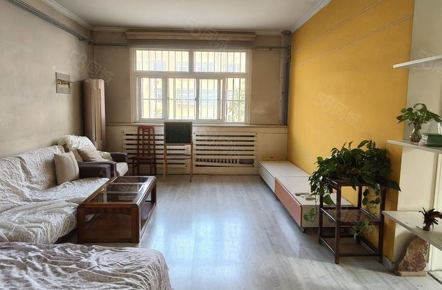 老文轩外国语附近，电业局五院低楼层全明户型