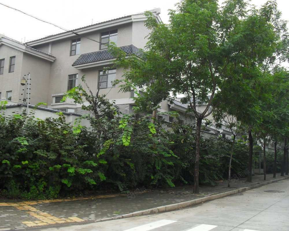 水映唐庄(别墅)小区详情,房价走势,房源,业主论坛】- 郑州58同城