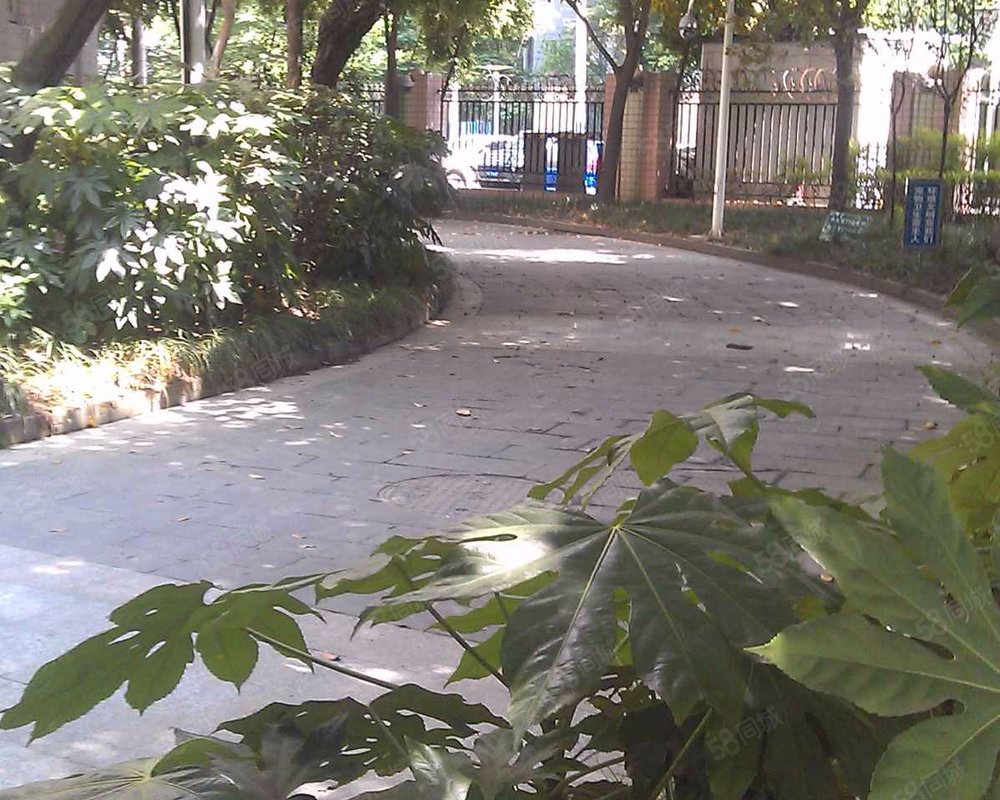 【五洲花园, 五洲花园小区详情,房价走势,房源,业主论坛】- 成都58