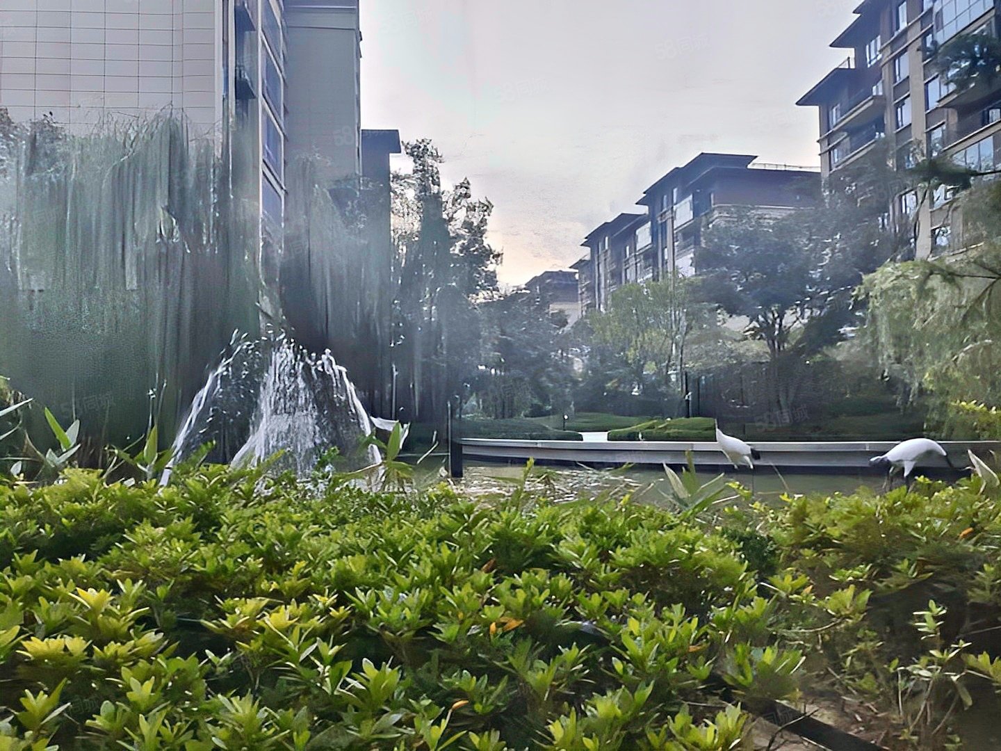 南北通透 电梯房 次新小区 高楼层视野无遮挡 商品住宅,碧桂园翡翠城