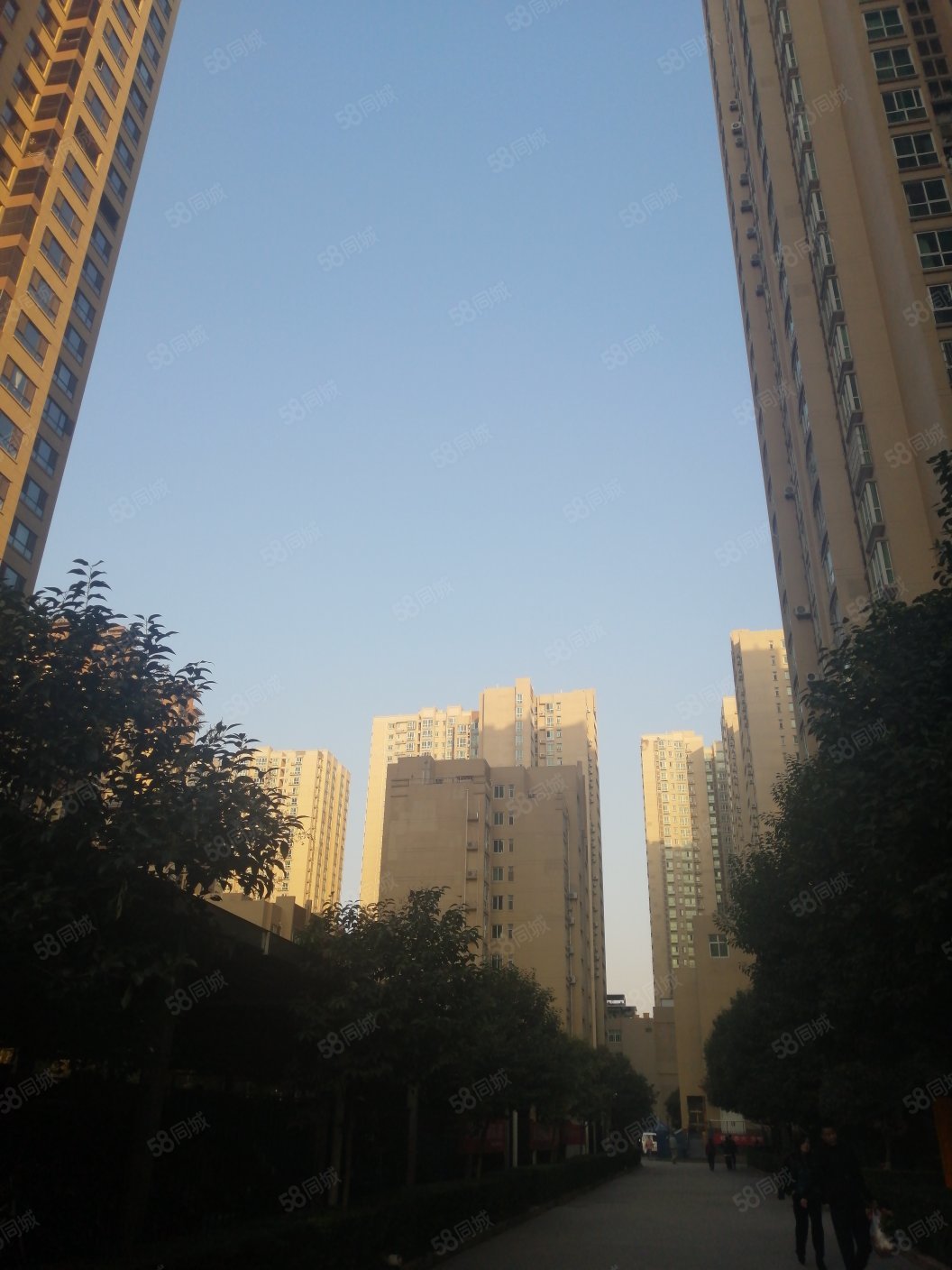 旭景新港2室2厅1卫71.24㎡东92万