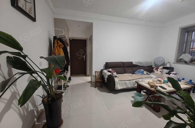 南湖新城 两室一厅 带车位和储 精装修 中间楼层