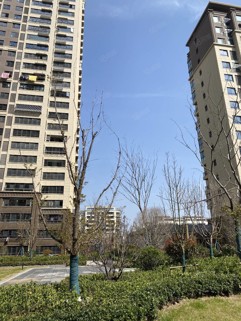 吾悦华府(大丰)3室2厅2卫122㎡南127万