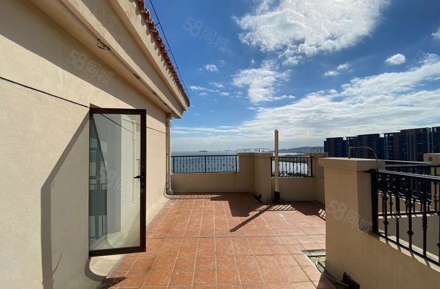 丽致新加坡 楼中楼 61平使用100平 两套单身公寓