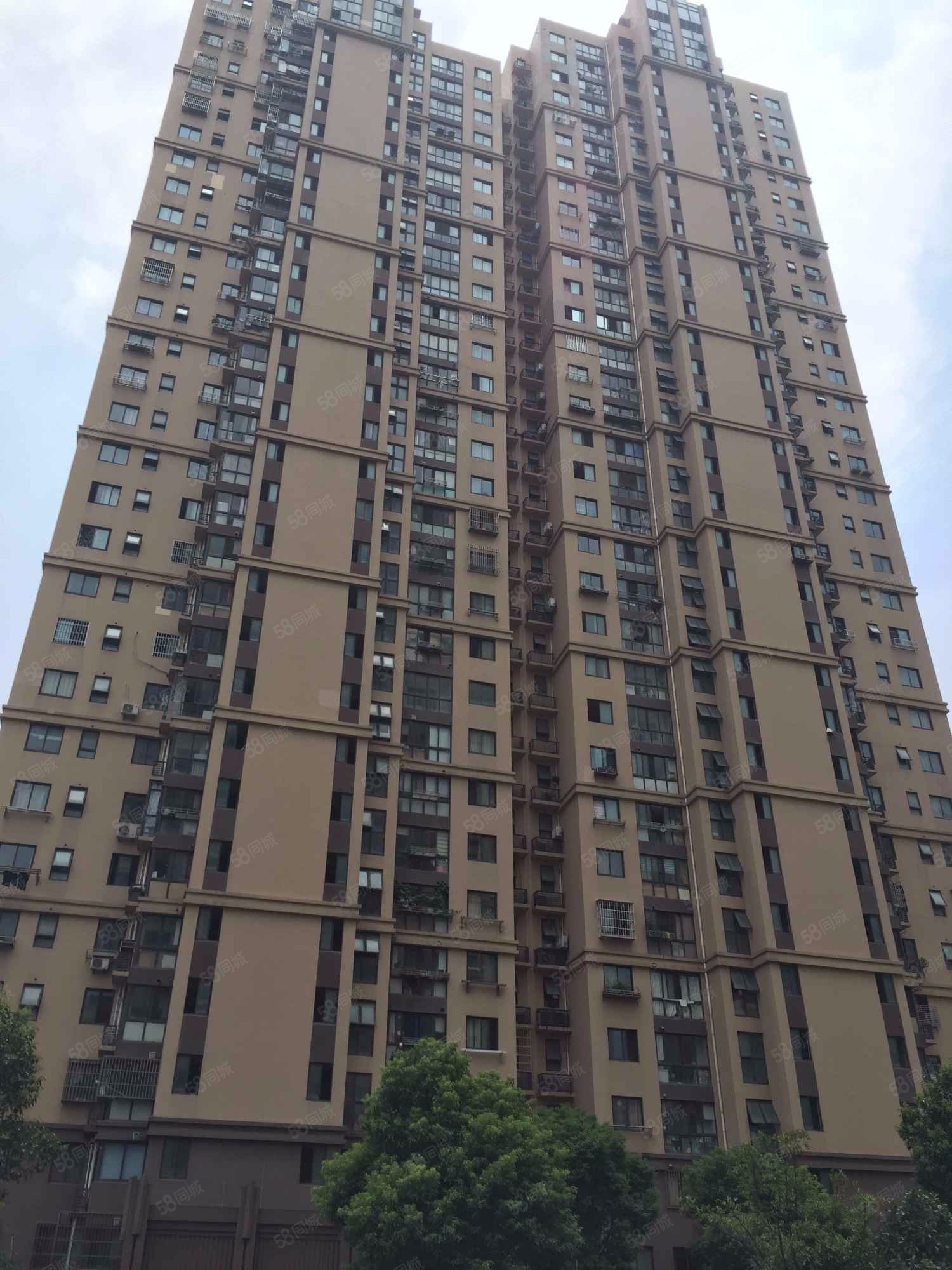 三林南,动迁房的价格商品房的环境,电梯高层,豪华装修三房,依水园