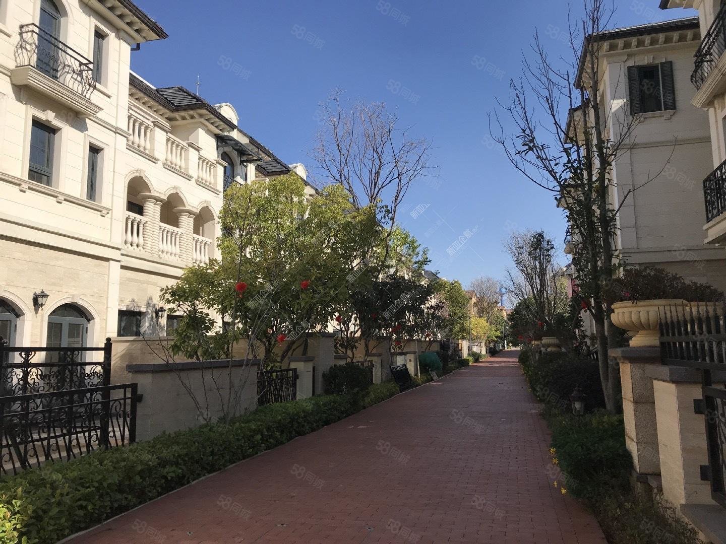 公园1903(三期)康醍先生 诚心出售 价格可以谈,公园1903康醍-昆明58