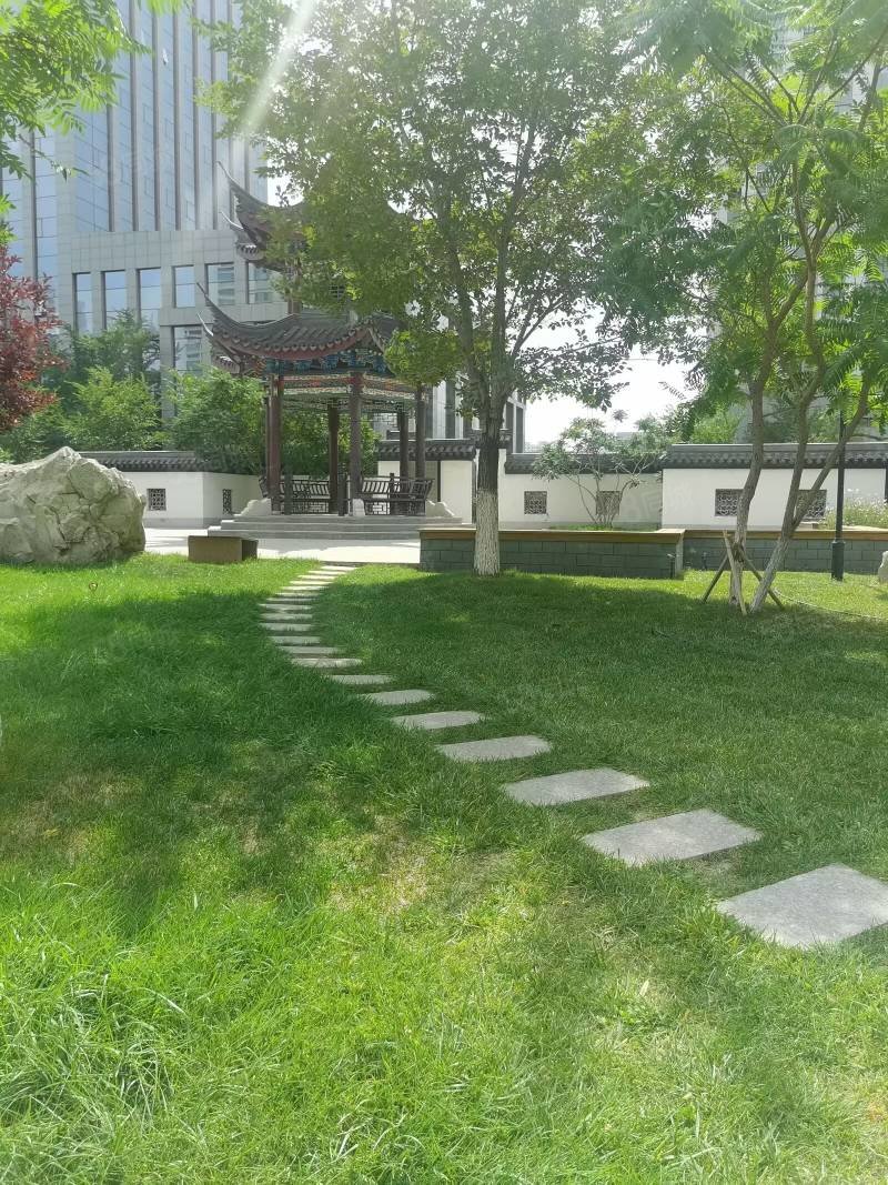 新市区政府商圈喀什路金鑫花园115.15平精装电梯3室