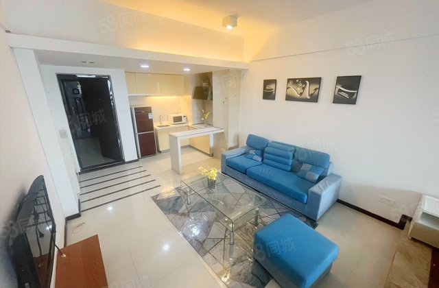 凯旋国际公寓(商住楼)1室1厅55㎡50万二手房图片