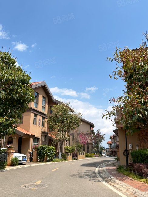 天泰大理十畝(别墅)7室4厅4卫284.97㎡南北619万