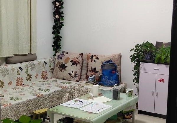 实验 金柱绿城 3楼 东边户 85平49万可谈