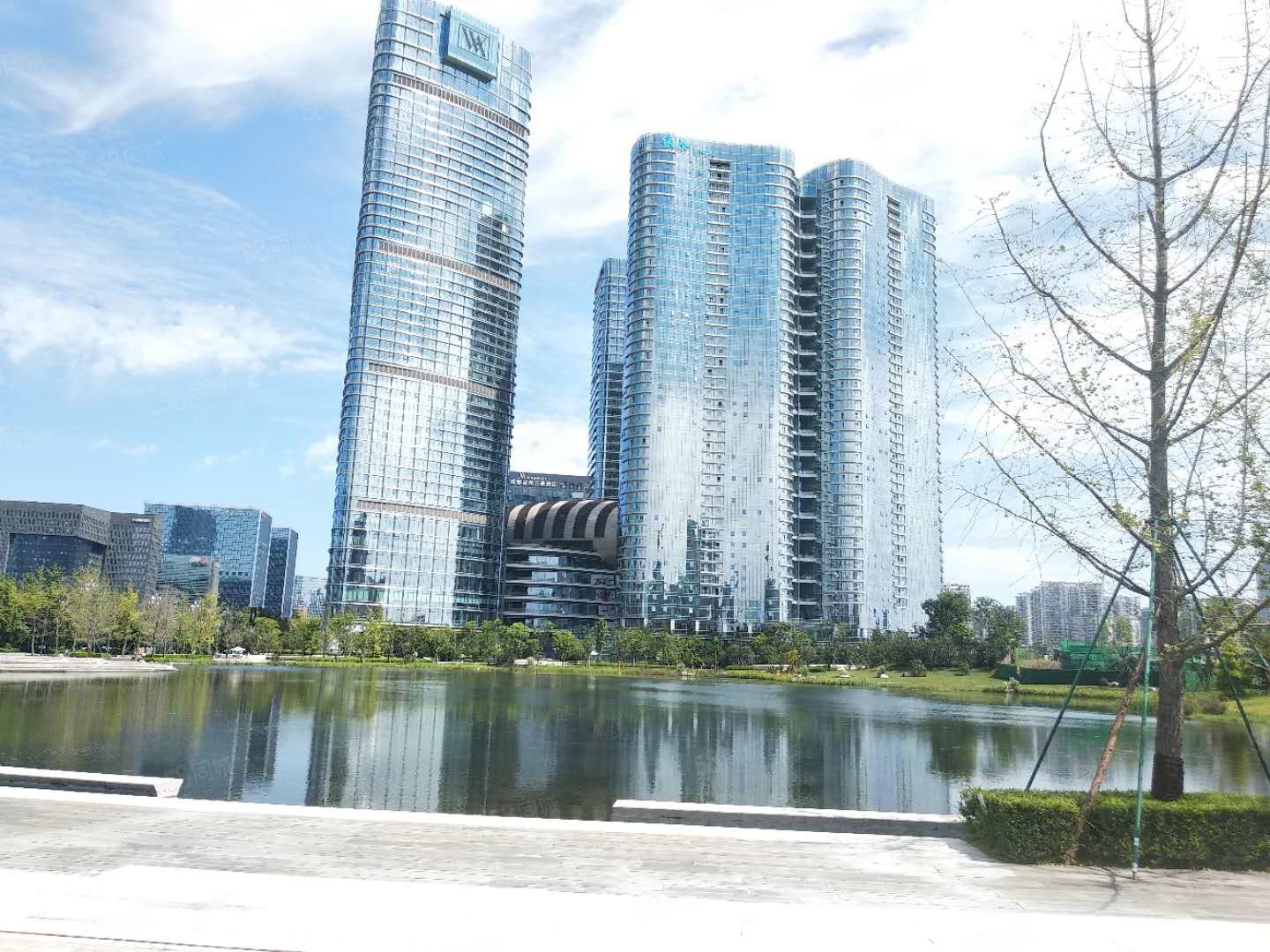 成都银泰中心华悦府3室2厅3卫391㎡南3000万