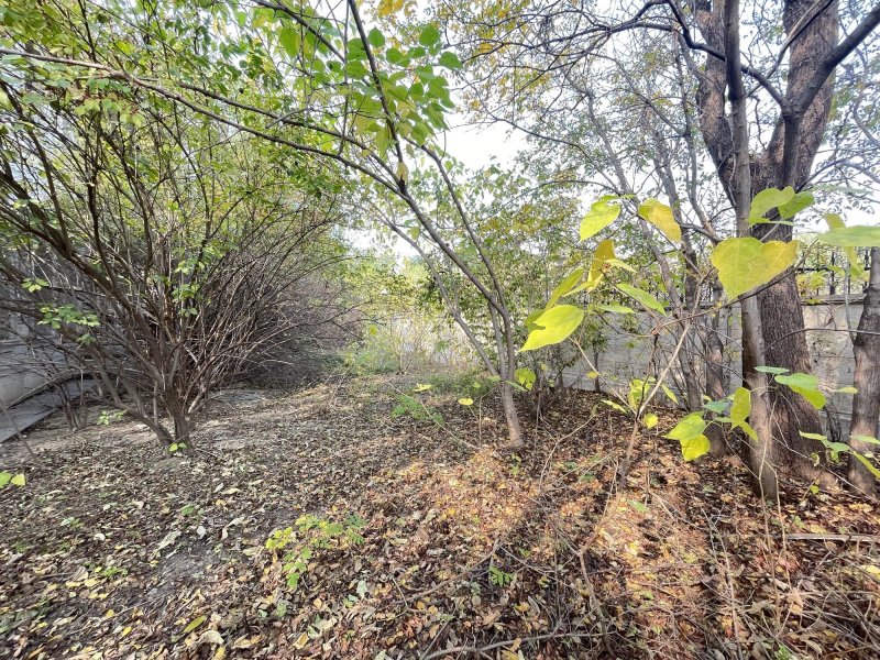 財富公館5室3廳5衛(wèi)1496.75㎡南北8500萬