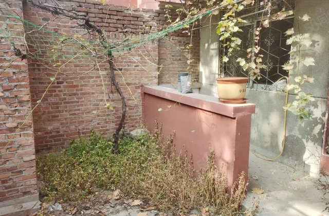 湖边,一楼带院,火车站,人行家属院,站前街,柳泉花园,