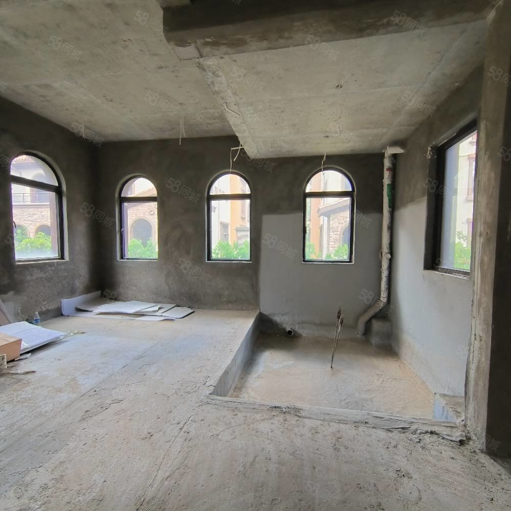 北部新洲莱茵别墅8室3厅7卫540㎡南北396万