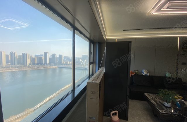 河景房 定制精装修 送车位 东边户 双卫 清水湾 国岳府